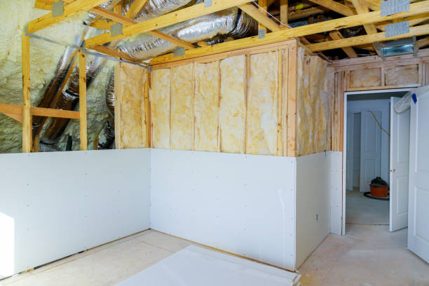 Best Insulation for New Construction  in Clio, AL