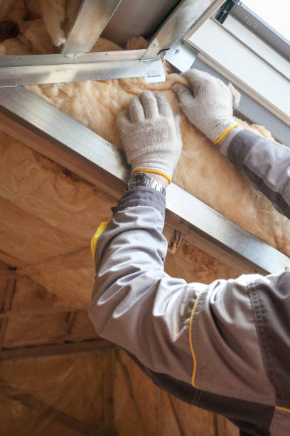 Best Cellulose Insulation  in Clio, AL