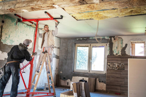 Best Attic Insulation Installation  in Clio, AL