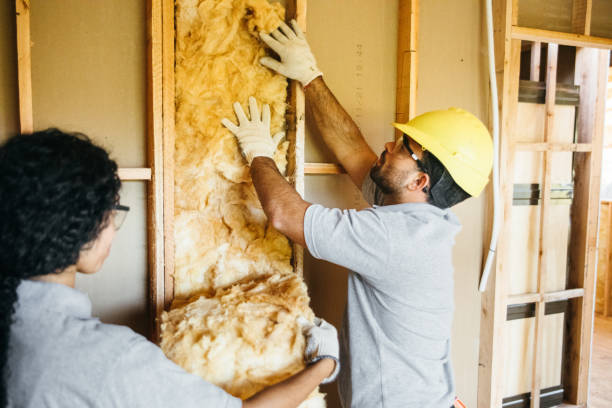 Best Insulation Replacement Services  in Clio, AL