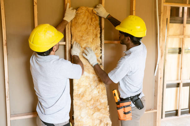 Best Attic Insulation Installation  in Clio, AL