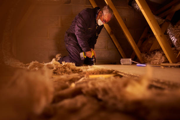 Best Affordable Insulation Services  in Clio, AL